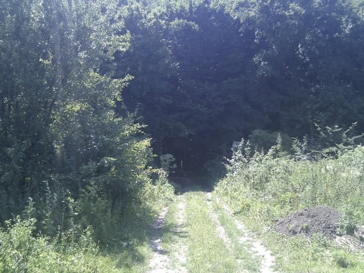 Ярмолинці з panoramio.com - Ярмолинцы
