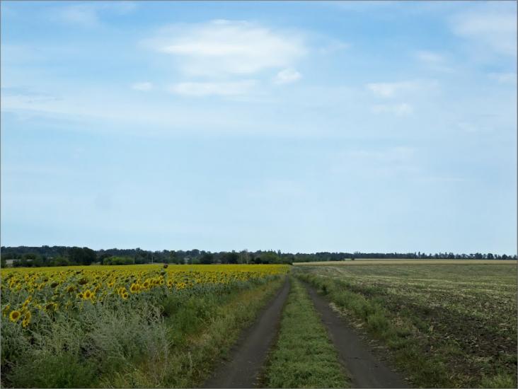 Веселе Поле з panoramio.com - Веселе Поле