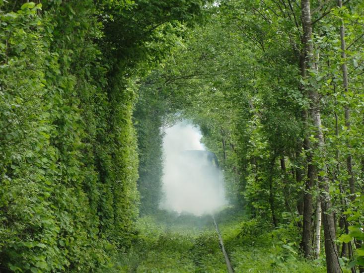 Клевань з panoramio.com - Klevan