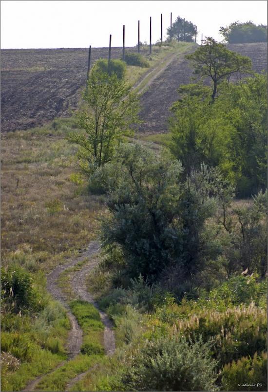 Златоустівка з panoramio.com - Златоустівка