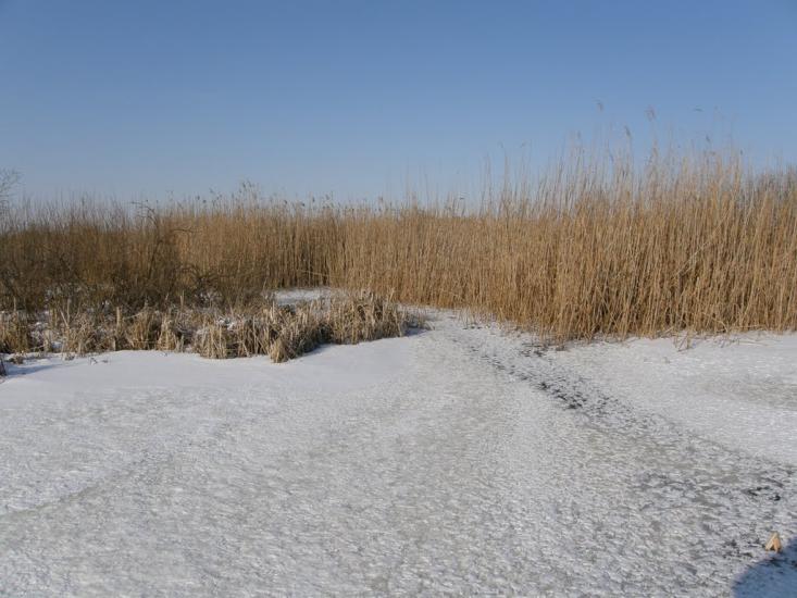 Оржиця з panoramio.com - Оржиця