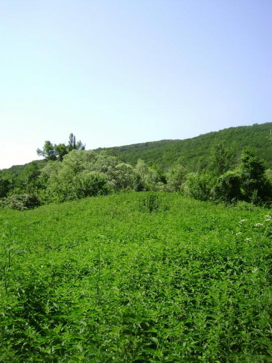 Красногірське з panoramio.com - Красногорское