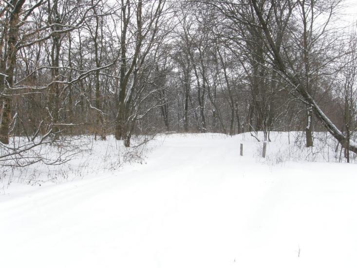 Заріг з panoramio.com - Зарог