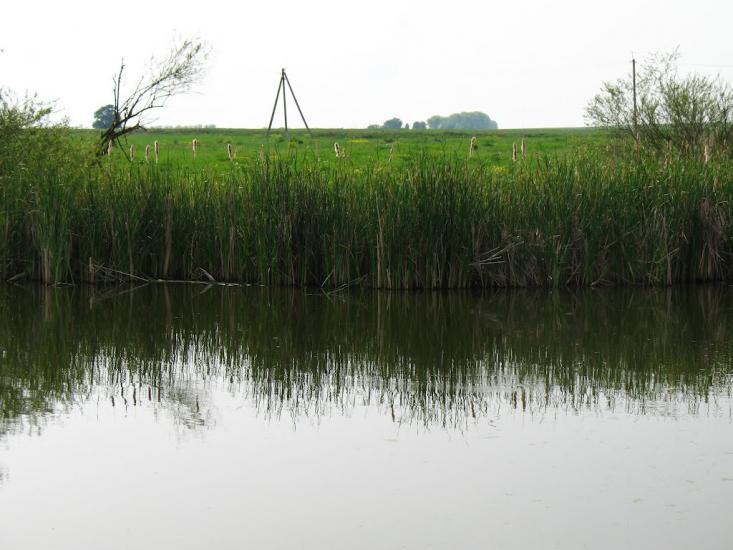 Милування з panoramio.com - Милування