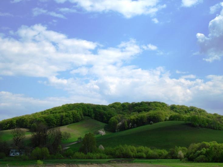 Лука з panoramio.com - Лука