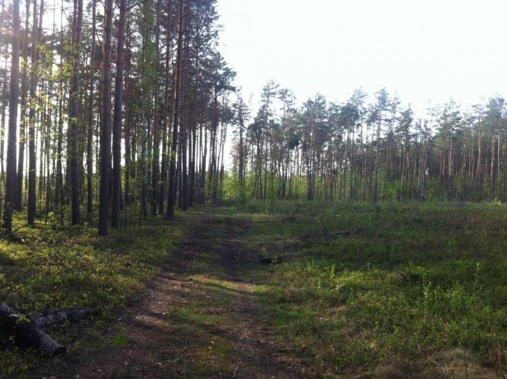 Клавдієво-Тарасове з panoramio.com - Klavdiyevo-Tarasove