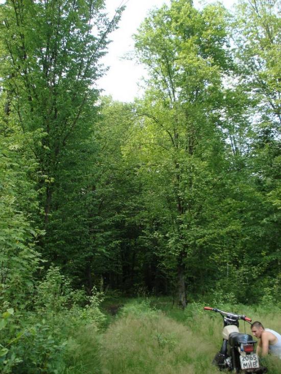 Хрипськ з panoramio.com - Хрипск