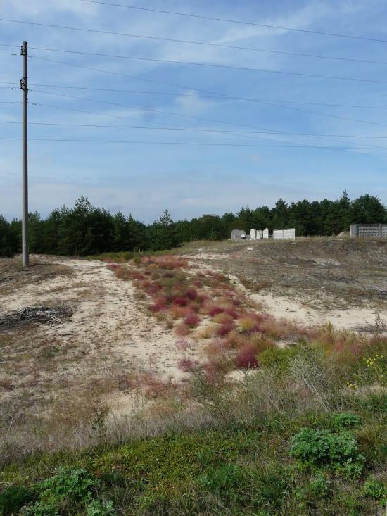 Стецівка з panoramio.com - Стецовка