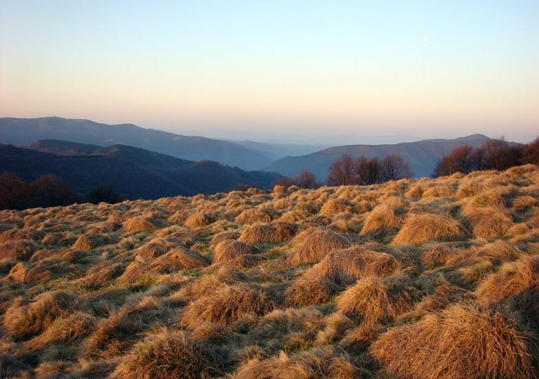 Вучкове з panoramio.com - Вучково