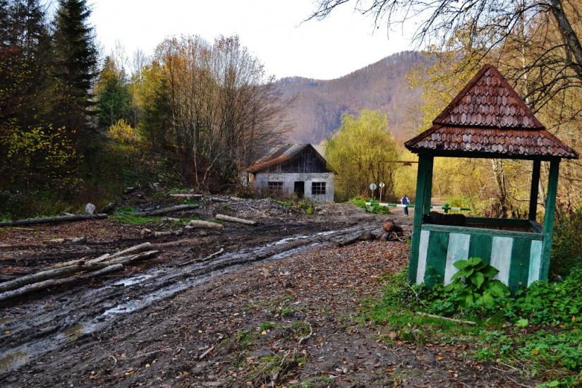 Росішка з panoramio.com - Росішка