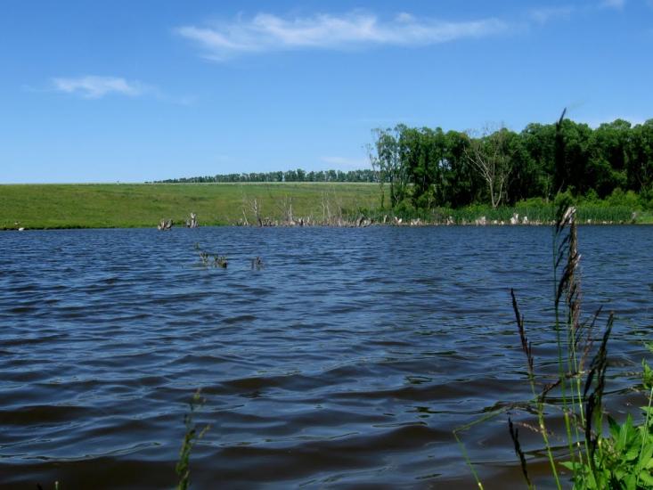 Стрілеча з panoramio.com - Стрілеча