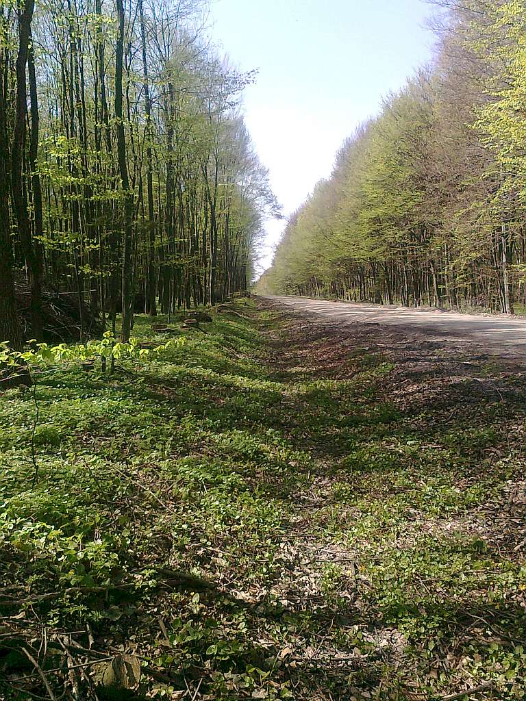 Паївка з panoramio.com - Паївка