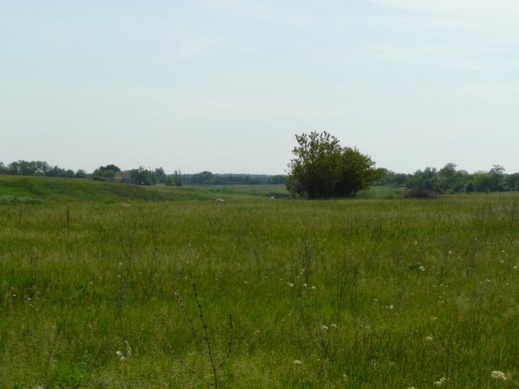 Шмідта з panoramio.com - Шмидта