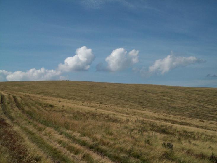 Полянська Гута з panoramio.com - Полянская Гута
