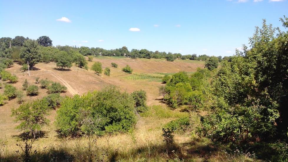 Моринці з panoramio.com - Moryntsi