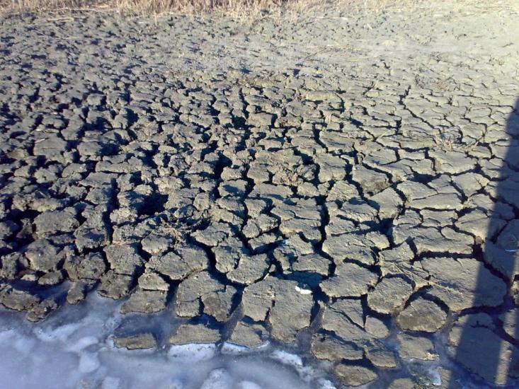 Ширяєве з panoramio.com - Ширяєве