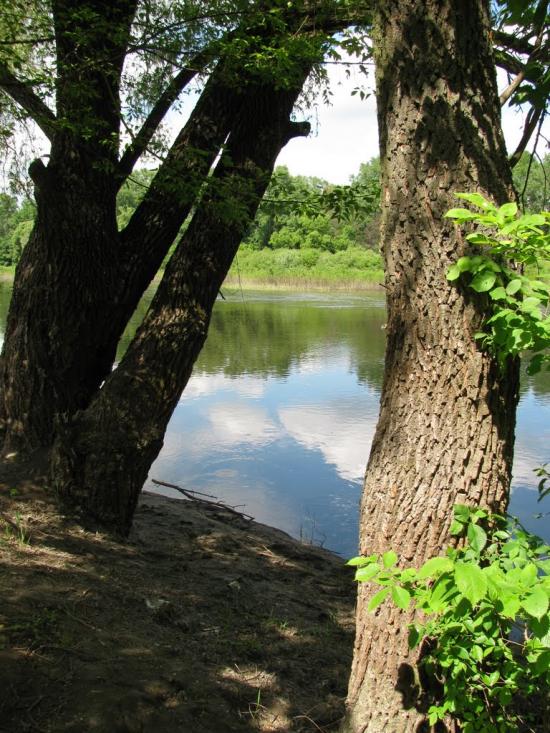 Чумакове з panoramio.com - Чумакове