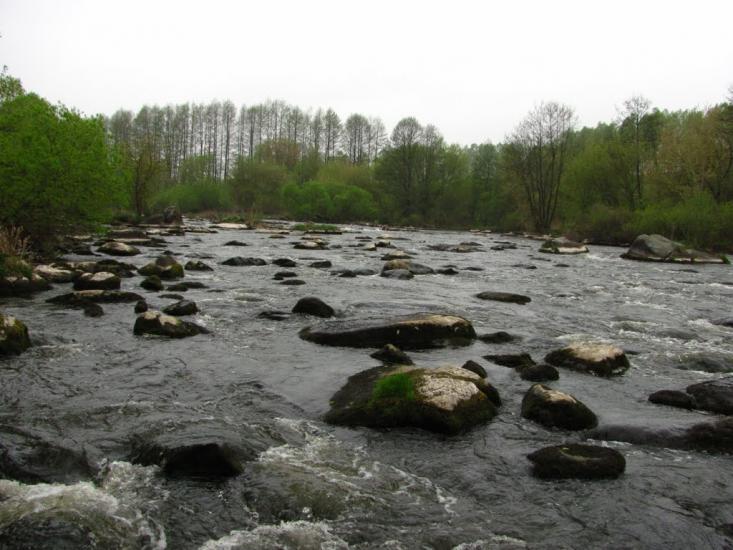 Думенки з panoramio.com - Думенки