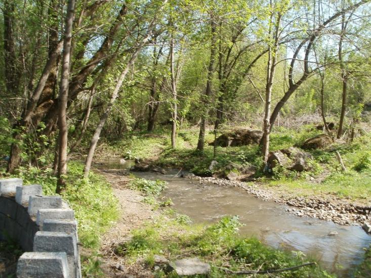 Четвертинівка з panoramio.com - Четвертинівка