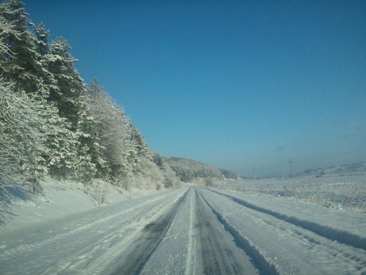 Саранчуки з panoramio.com - Саранчуки