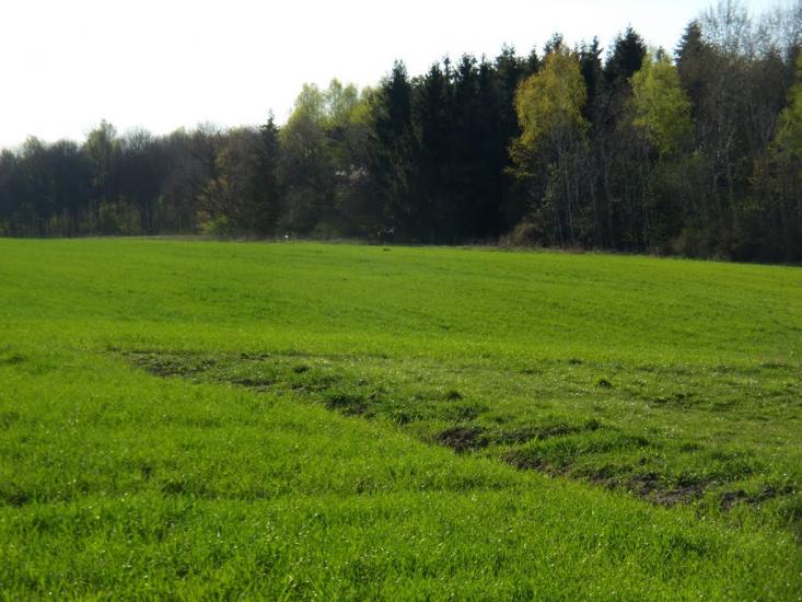 Заріцьк з panoramio.com - Зарецк