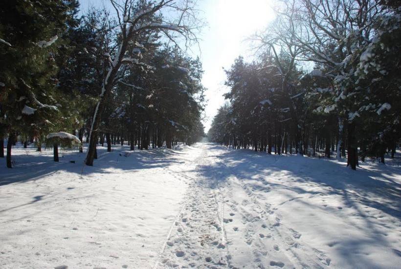 Миколаїв з panoramio.com (ч.4) - Николаев