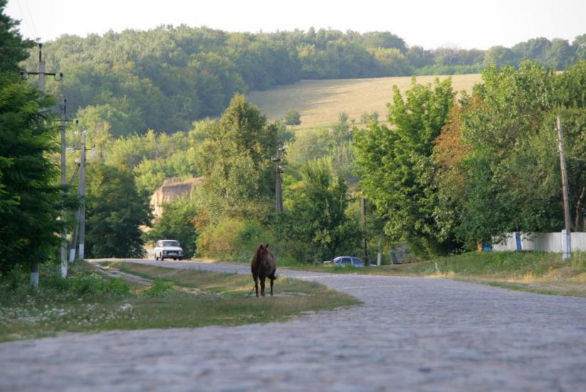 Павлівка з panoramio.com - Павлівка