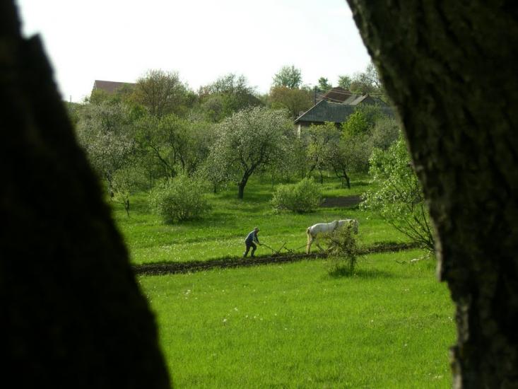 Луг з panoramio.com - Луг