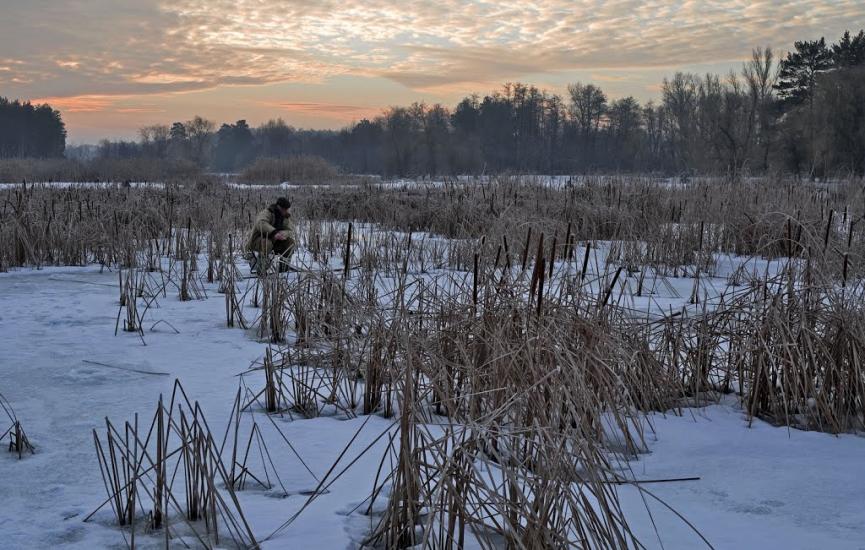 Олександрівка з panoramio.com - Oleksandrivka