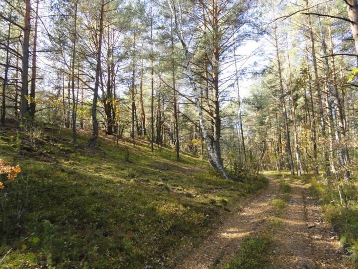 Хрипськ з panoramio.com - Хрипск