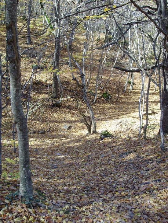Курське з panoramio.com - Курское