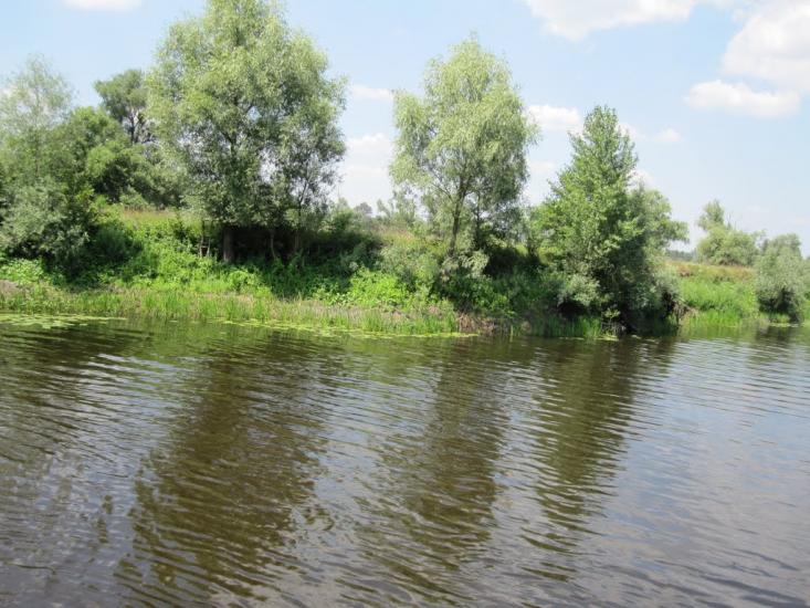 Березоточа з panoramio.com - Березоточа