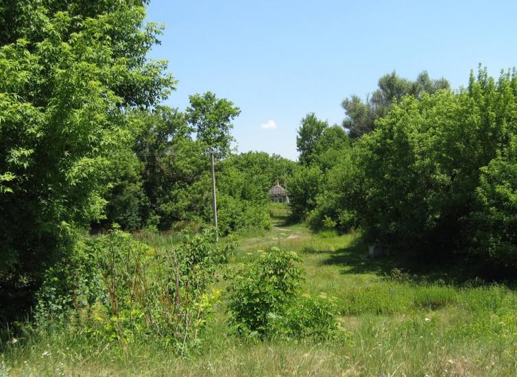 Велика Шапківка з panoramio.com - Велика Шапківка