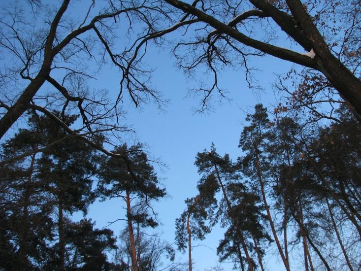 Волиця з panoramio.com - Волица