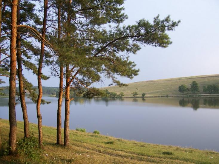 Личківці з panoramio.com - Лычковцы