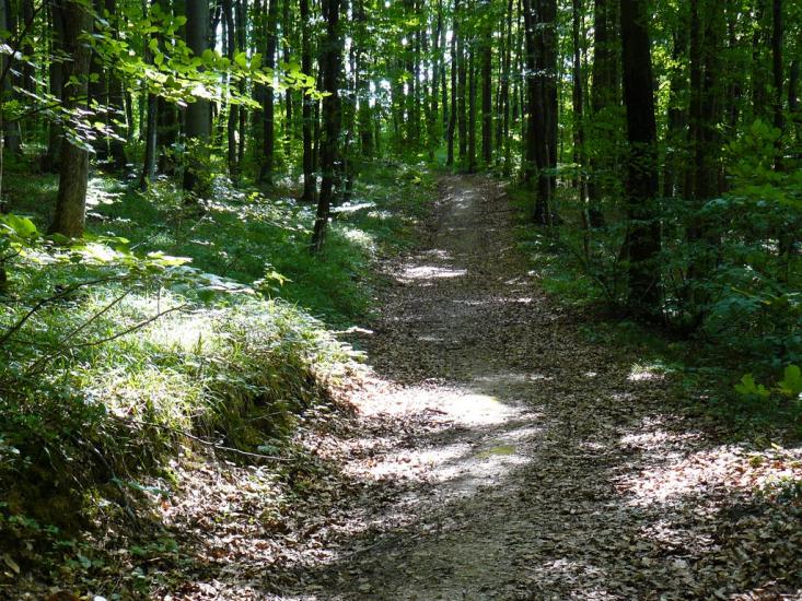 Худльово з panoramio.com - Худлово