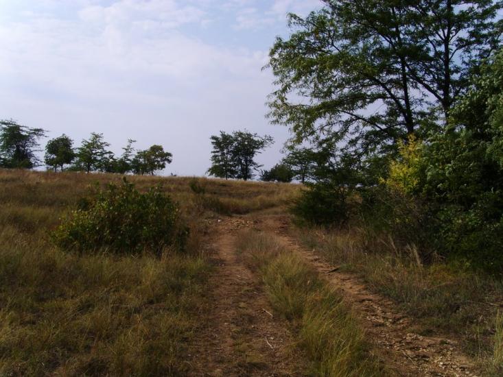 Березівка з panoramio.com - Березовка