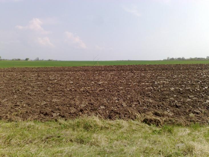 Лаврів з panoramio.com - Лавров