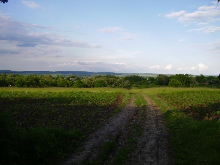 Коржівці з panoramio.com - Коржевцы