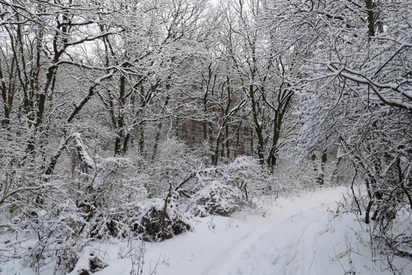 Наталине з panoramio.com - Наталине