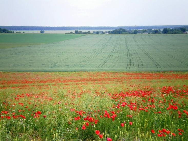 Суховоля з panoramio.com - Суховоля