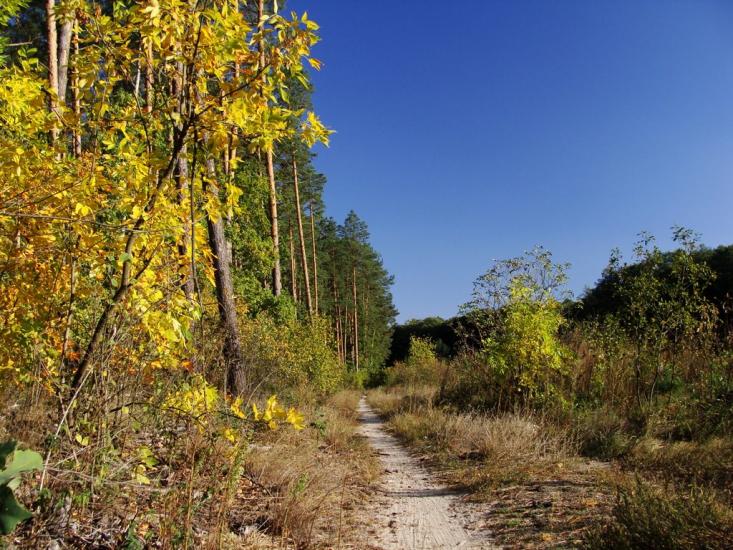 Шкарівка з panoramio.com - Шкаровка