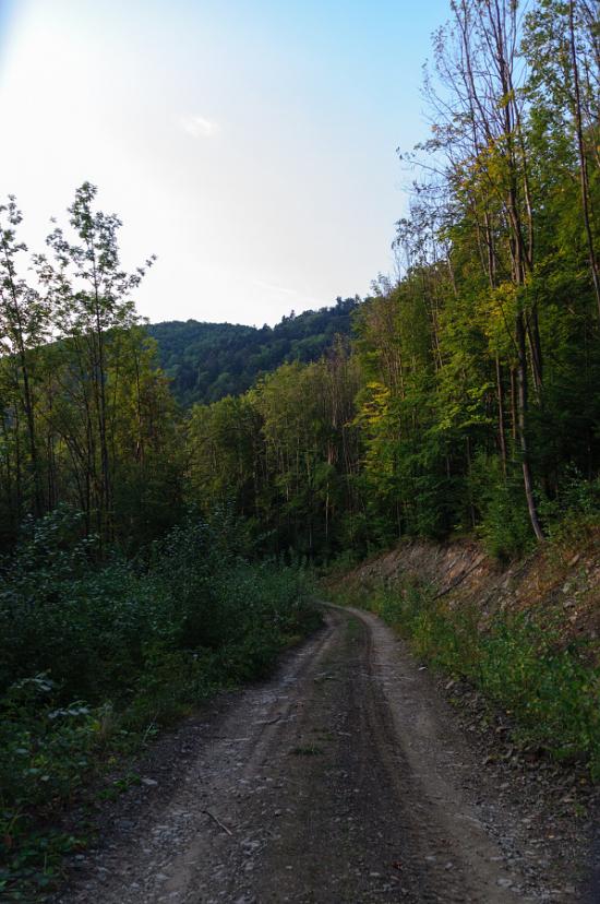 Вишка з panoramio.com - Vyshka