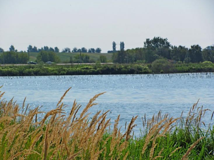 Кустин з panoramio.com - Кустин