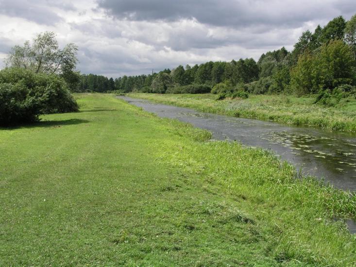 Линівка з panoramio.com - Lynivka