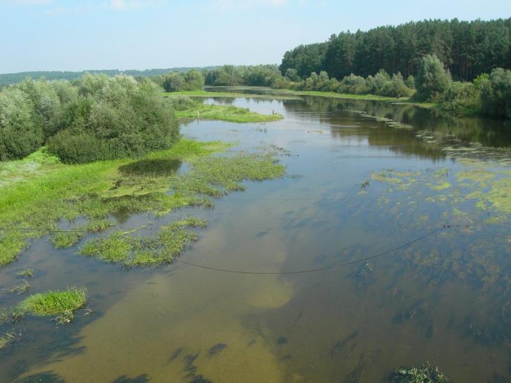 Грем'яч з panoramio.com - Гремяч
