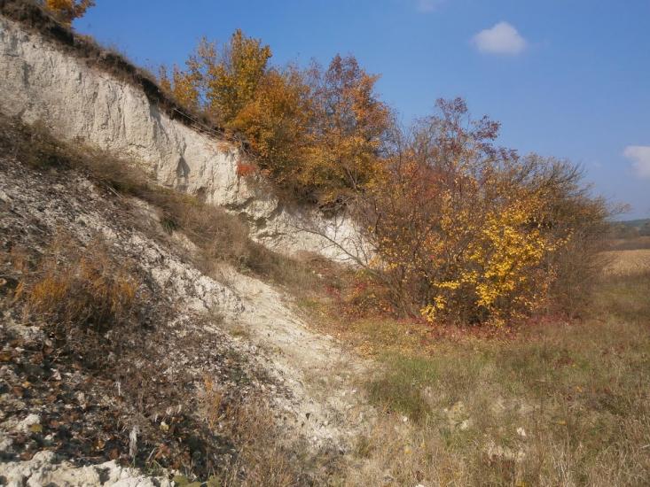 Нечаївка з panoramio.com - Нечаевка