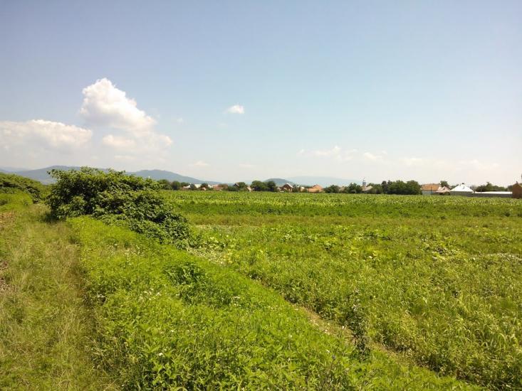 Ракошино з panoramio.com - Ракошино