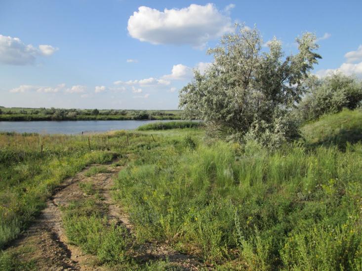 Єлизаветівка з panoramio.com - Єлизаветівка