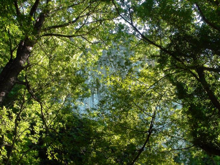 Польове з panoramio.com - Польове